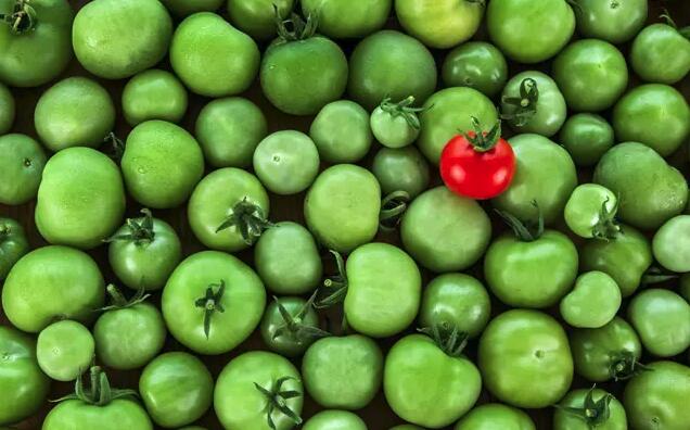 1511524508596174.jpg 设计心理学.jpg