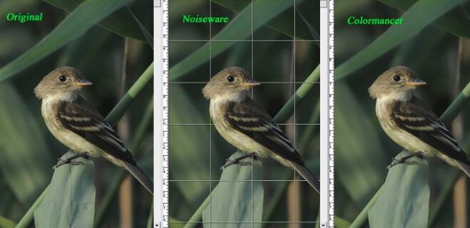 PS插件推荐Boundary Noise Reduction.jpg