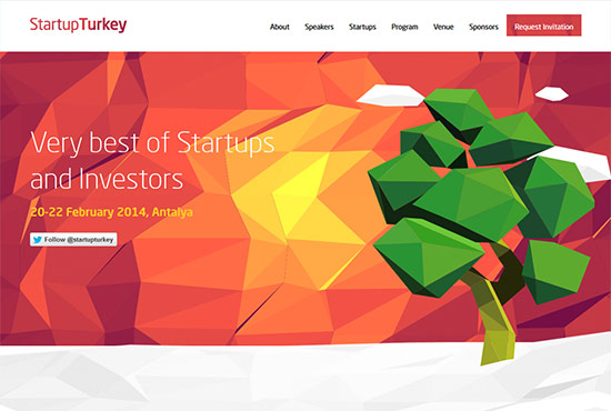 Startup Turkey.jpg