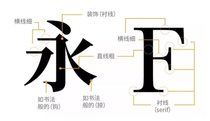 字体设计的基础知识，字体的特征与个性.jpg