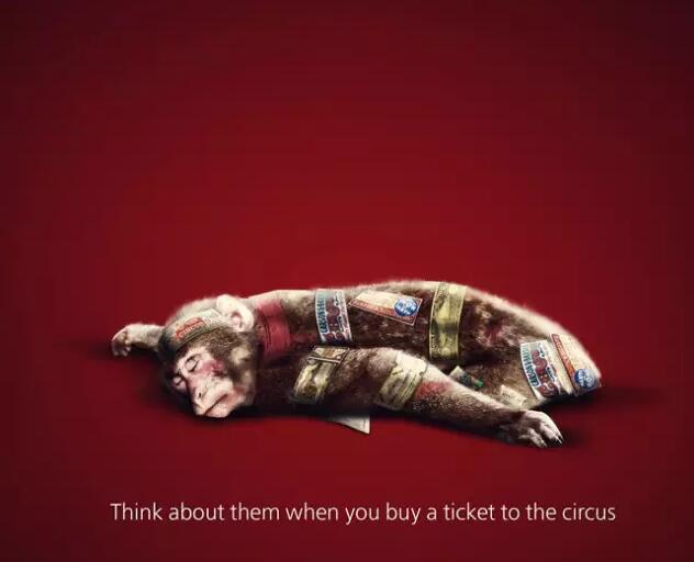 保护动物宣传公益海报欣赏3.jpg