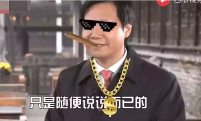 小米与雷布斯.jpeg