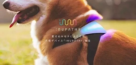 INUPATHY心率传感器束1.webp.jpg