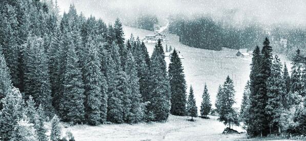 1520046620343051.jpg Photoshop学习教程,将草原变雪景的神奇效果10.jpg