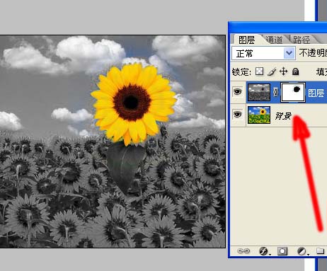 1555127023903704.jpg jc0906213_11.jpg
