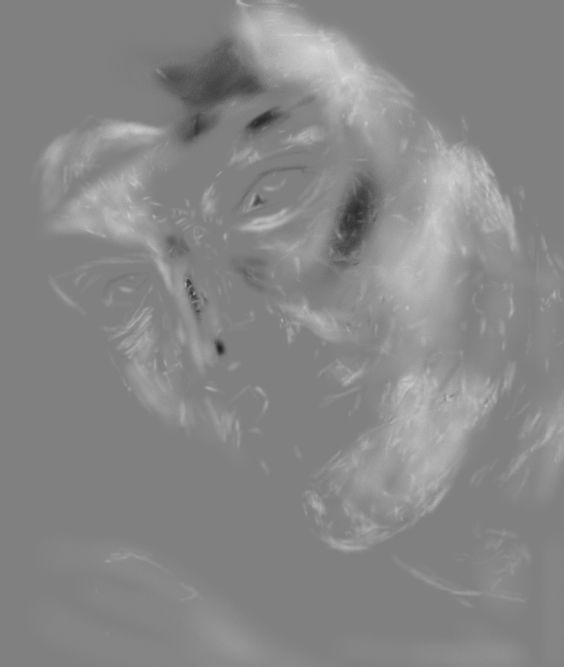 1555641662510005.jpg jc1402241_11.jpg