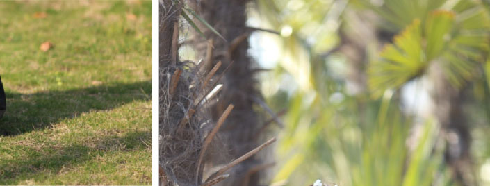 1555728032478951.jpg 5B194024930.jpg