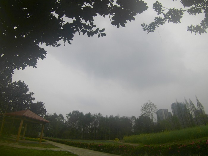 1555731681138121.jpg jc170414_22.jpg