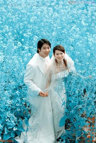 1555905394535079.jpg 0706077-2.jpg