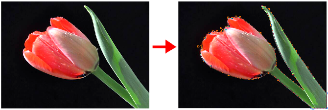 1555989371939761.png cdrx8-bujuzhong-1.png