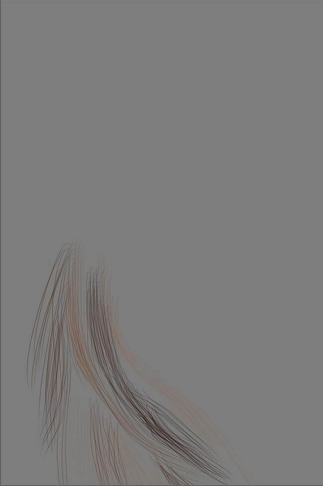 1556077802209008.jpg jc1610051_5.jpg