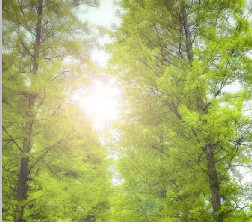 1556162953197410.png dfb528db7d27c8b4de4f90ce60c39b3c.png