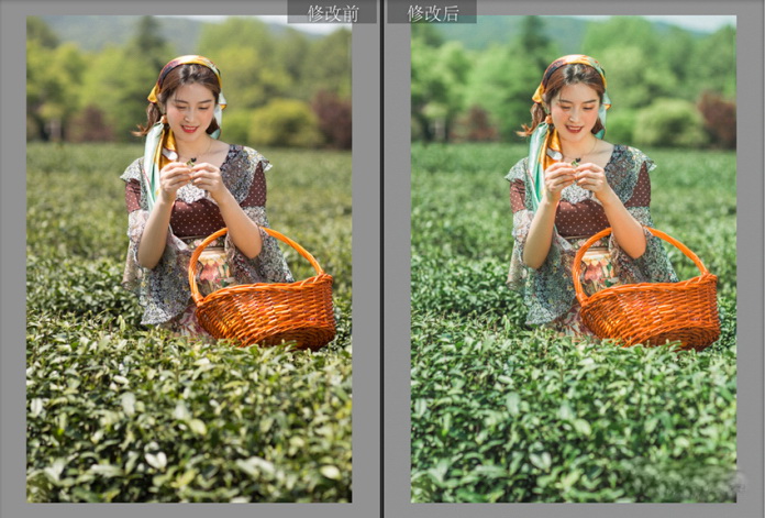 1556419338180355.jpg 1145056352-5.jpg