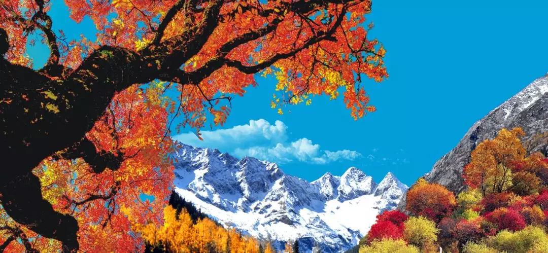 1556419485117797.jpg “潮城海宁·多彩黑水”.jpg