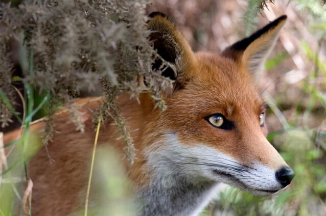 1556502737682488.jpg jc1410311_2.jpg