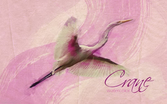 1557022690362304.jpg 3a117ebd3cf51ae1e05e4202052f8011.jpg