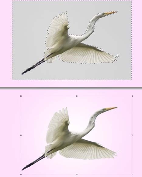 1557022721749521.jpg 5f84784be34d141bebd61c32dfdb3a48.jpg