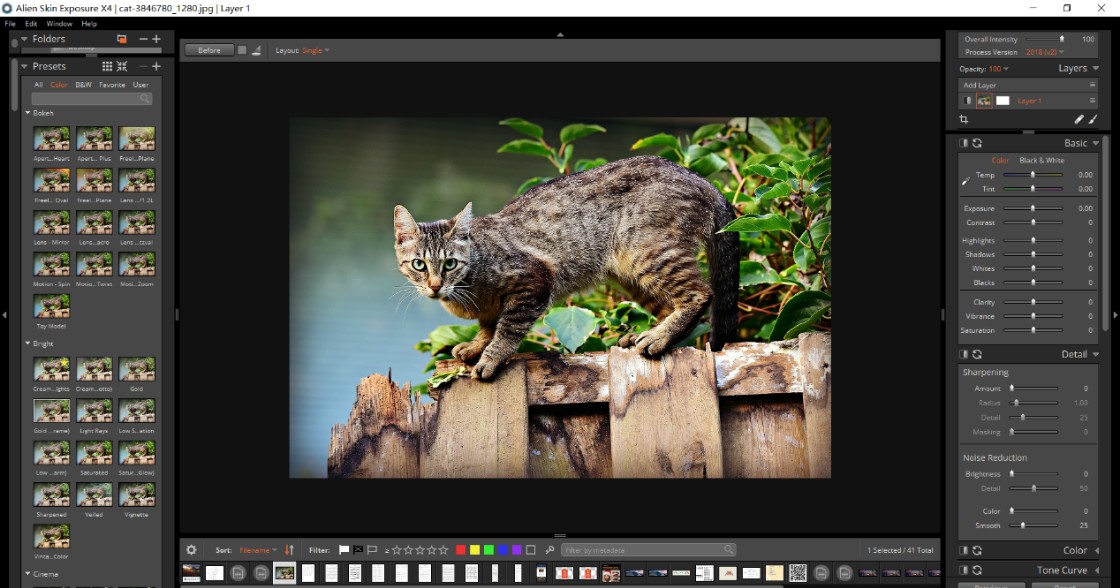 1557201189706749.jpeg 2.jpeg