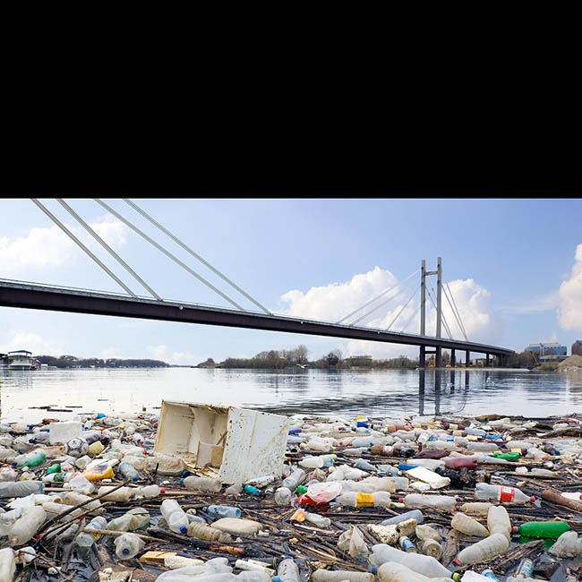 1557373224858834.jpg jc1501071_2.jpg