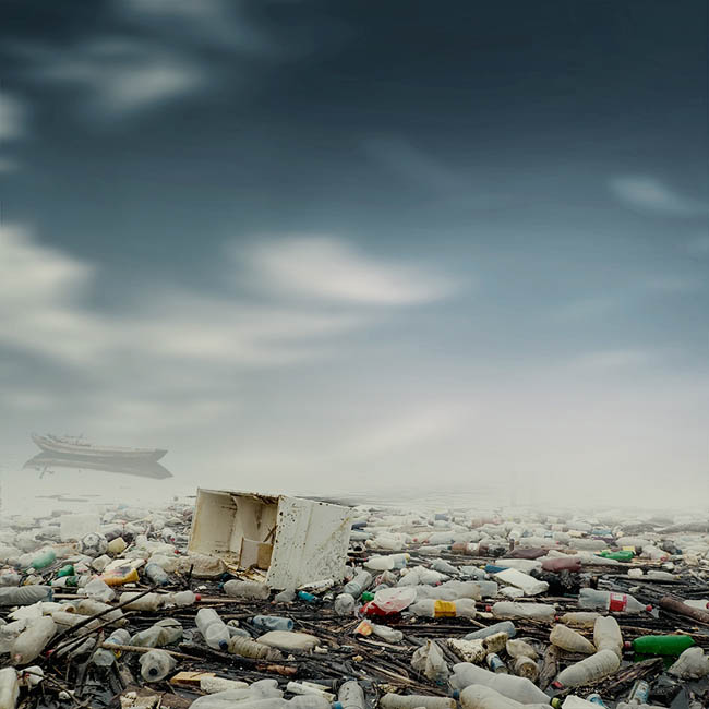 1557373273783614.jpg jc1501071_5.jpg