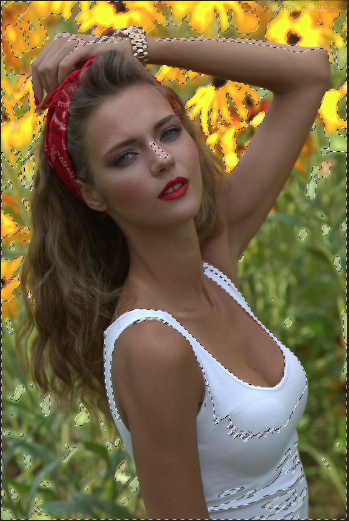 1557729147840142.png BB175629140.png