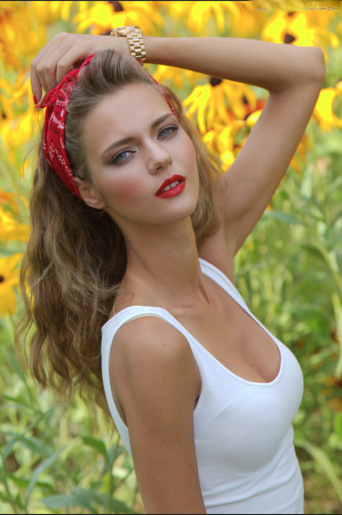 1557729186403849.png 29175630745.png