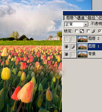 1557908198928987.jpg 20080223144504207.jpg