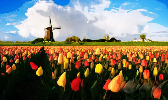 1557908222544466.jpg 20080223144504454.jpg