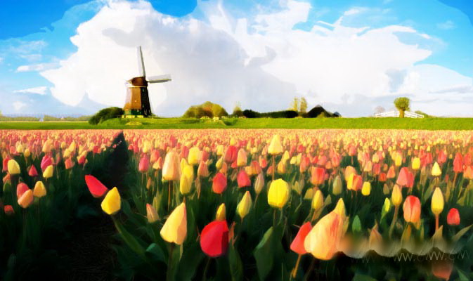 1557908263424155.jpg 20080223144505163.jpg