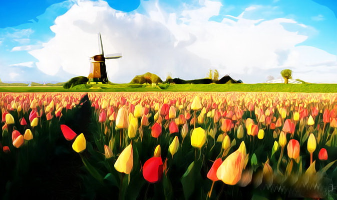 1557908293868304.jpg 20080223144504357.jpg