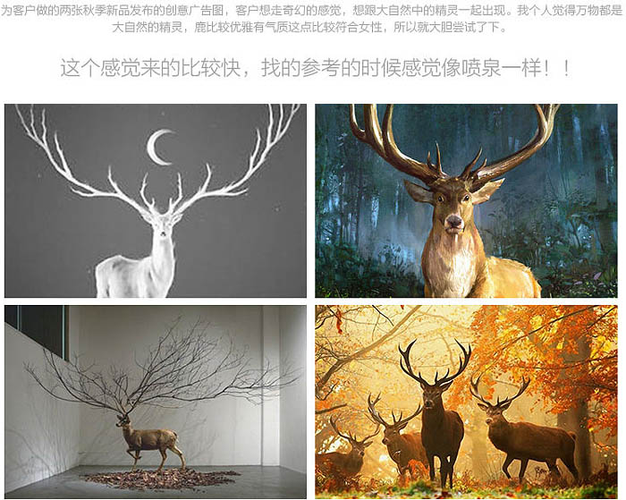 1558063520654795.jpg jc1411181_2.jpg