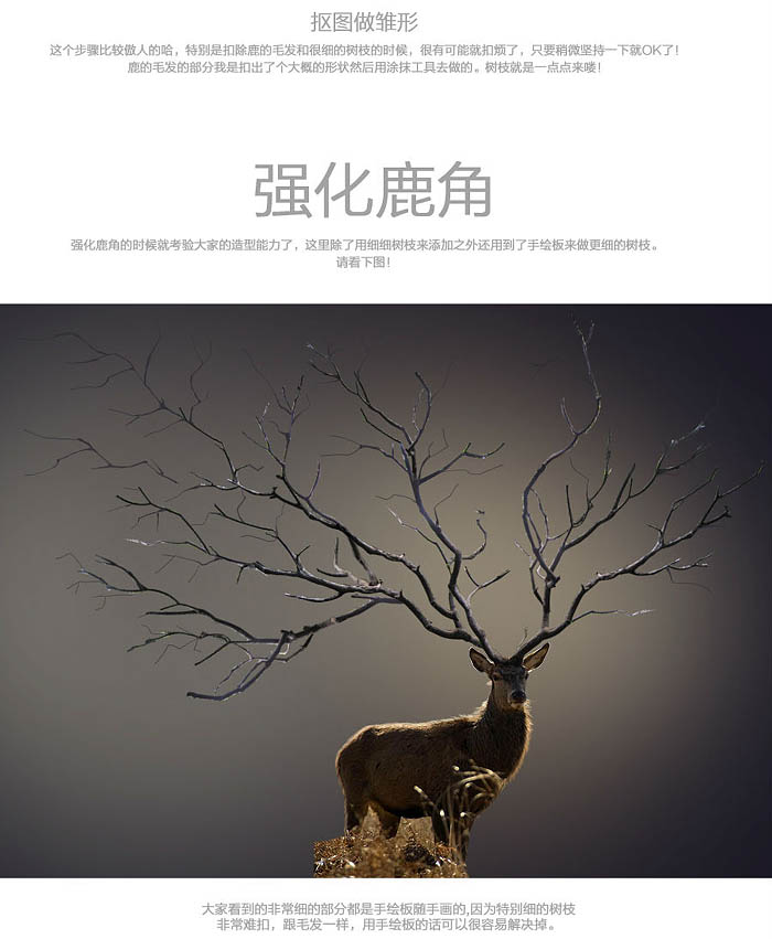 1558063570448254.jpg jc1411181_8.jpg