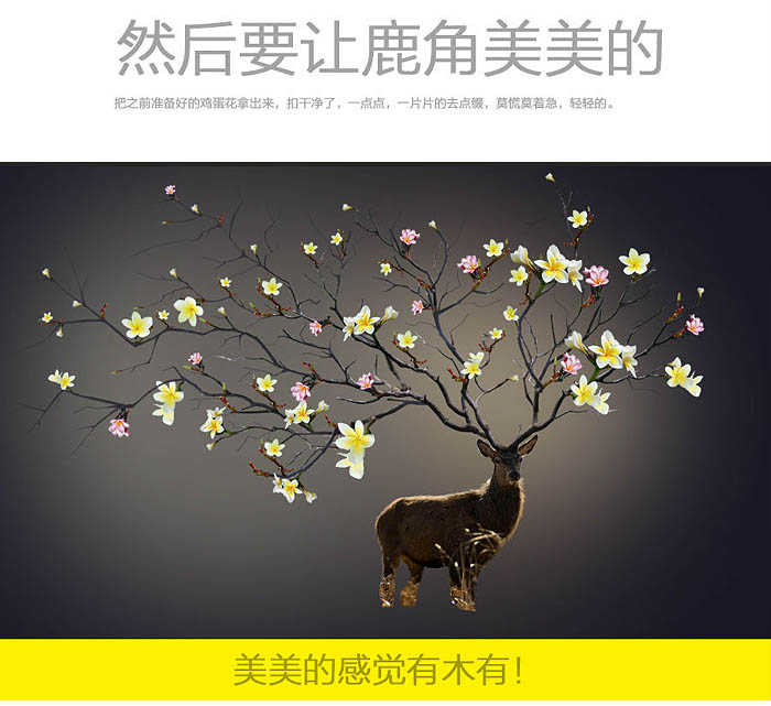 1558063581441473.jpg jc1411181_9.jpg