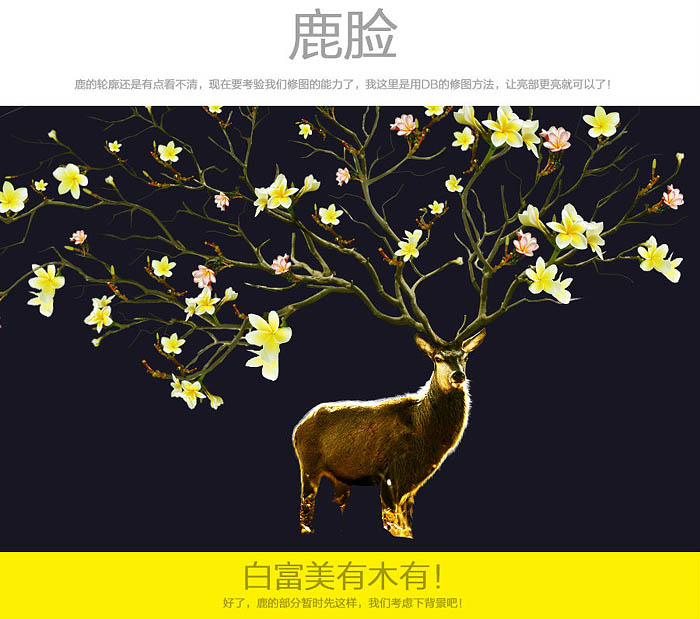 1558063592214956.jpg jc1411181_10.jpg