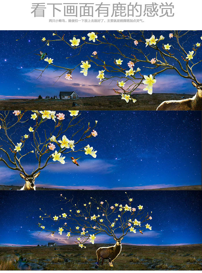 1558063629523350.jpg jc1411181_13.jpg