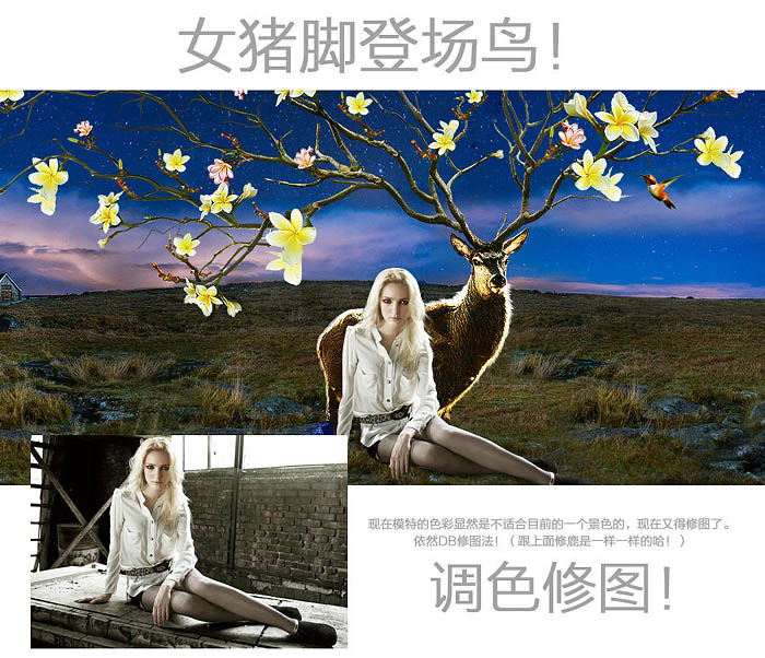 1558063641922309.jpg jc1411181_14.jpg