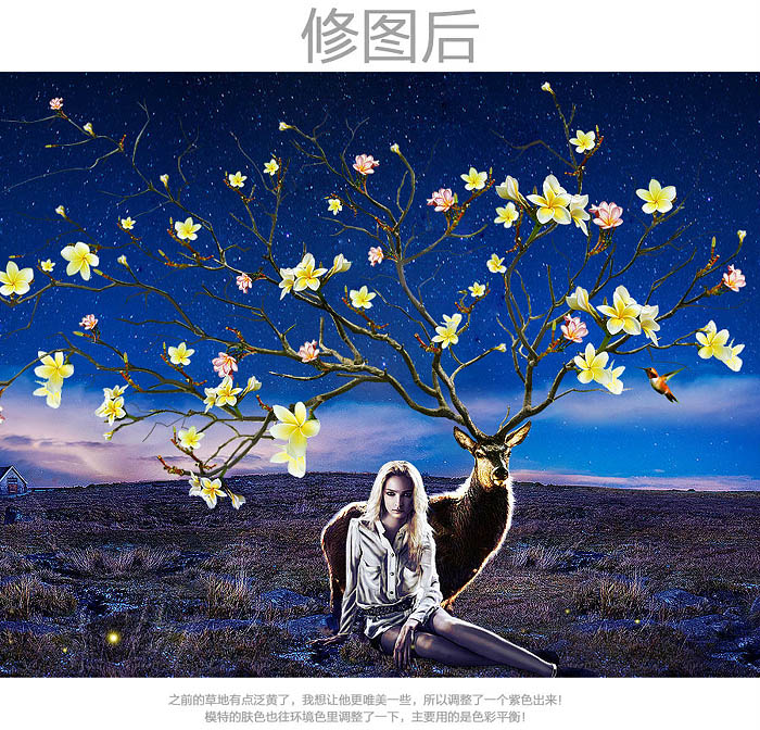 1558063655759725.jpg jc1411181_15.jpg