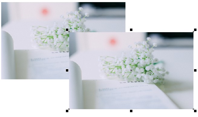 1558334054626470.jpeg 0.jpeg