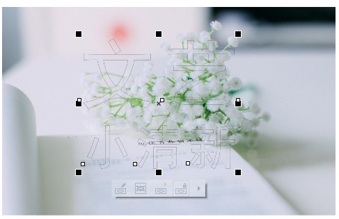 1558334081355183.jpeg 3.jpeg