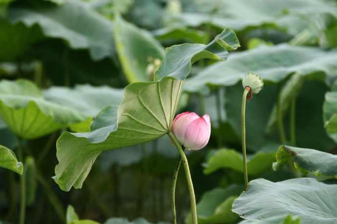 1558583743942924.jpg jc1209191_1.jpg