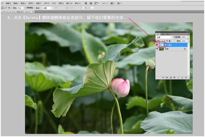 1558583790712499.jpg jc1209191_5.jpg