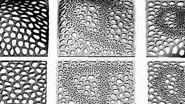 1559360336226082.jpg 895e7_th.jpg