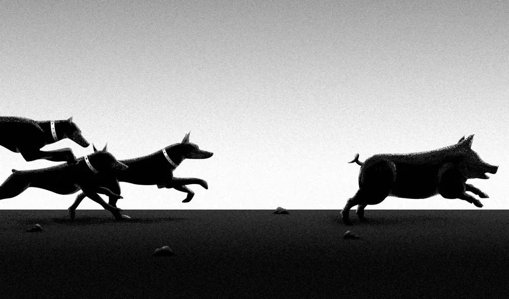 1559532026439455.jpeg pic_010.jpeg