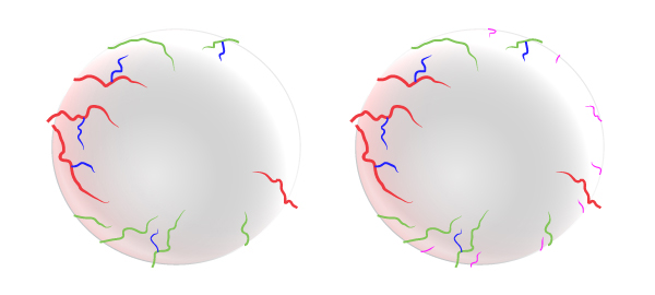 1560222273894482.jpg 95e4c2.jpg