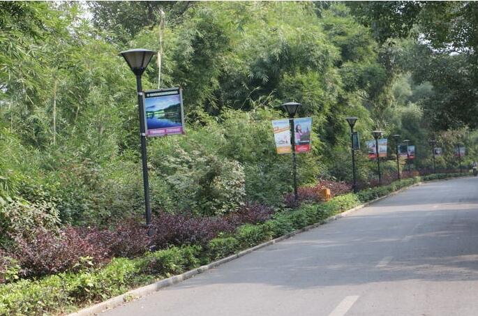 1561086682939982.jpg 汕尾市景观路灯灯箱广告3D设计图样征集大赛.jpg