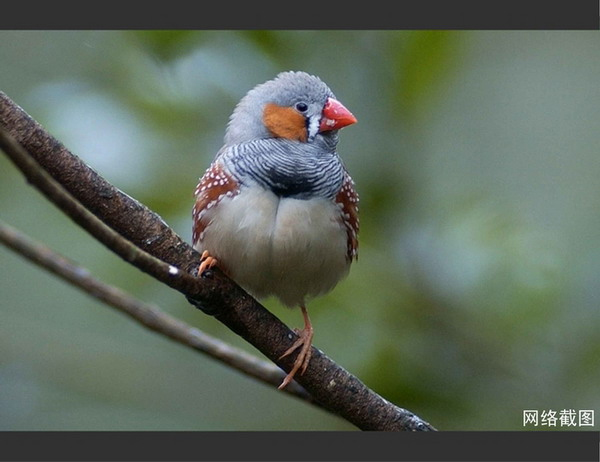 1561518642158034.jpg 128106.jpg