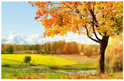 1562123505744923.jpeg 0.jpeg