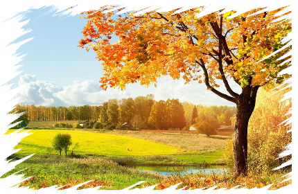 1562123543610522.jpeg 5.jpeg