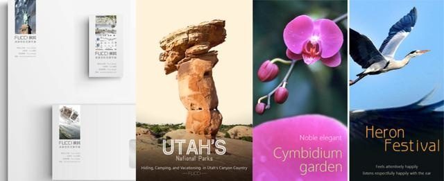 1562983781983984.jpg 909b9_th.jpg