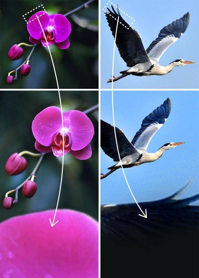 1562983873522649.jpg d8abc_th.jpg